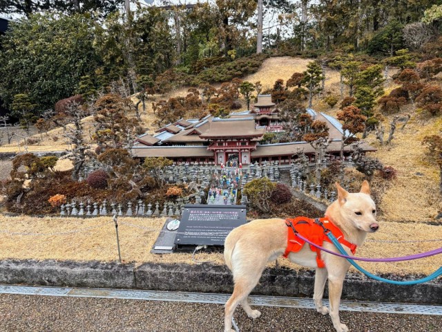 【2026年版】愛犬と楽しむ「東武ワールドスクウェア」｜愛犬とめぐる世界一周の旅レポ